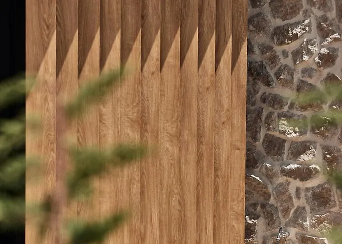 Olvion Luxury Villa *